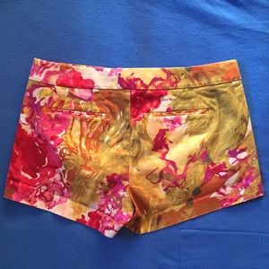 J. Crew Stretch shorts with Beautiful Artwork!